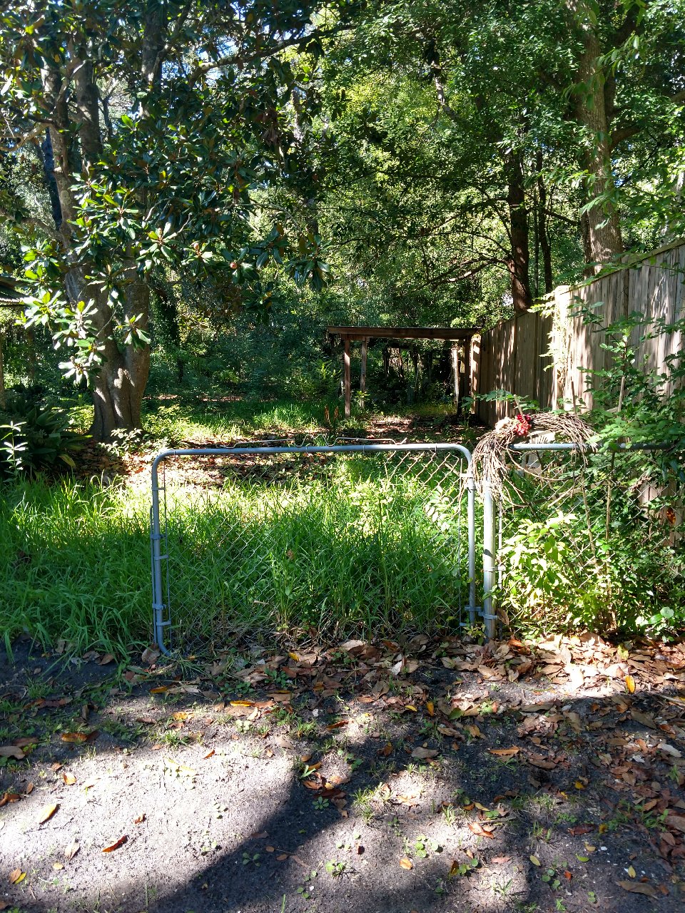 IMG_20201024_133355154_HDR.jpg