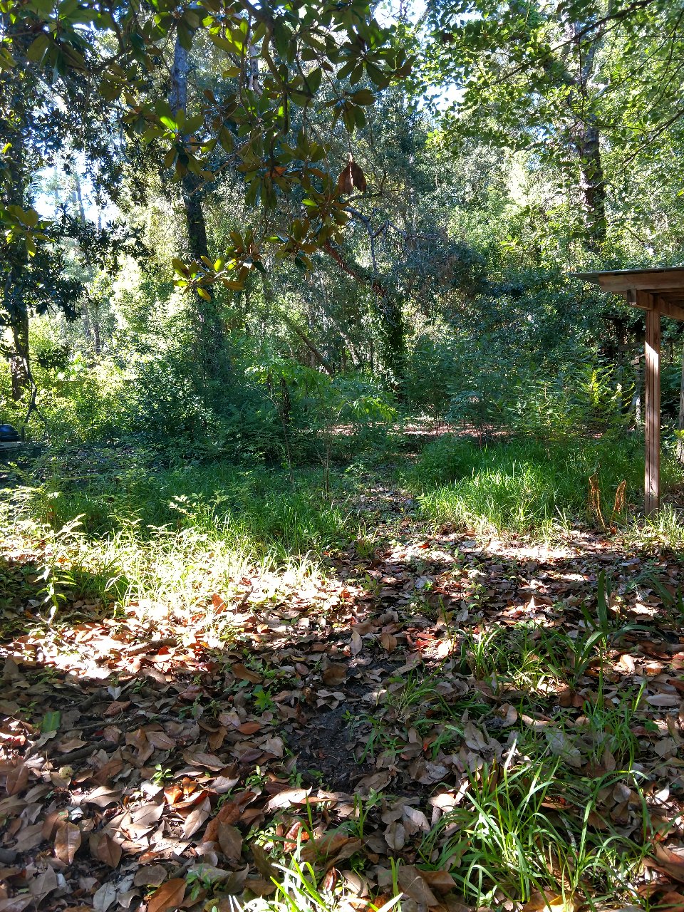 IMG_20201024_133418002_HDR.jpg