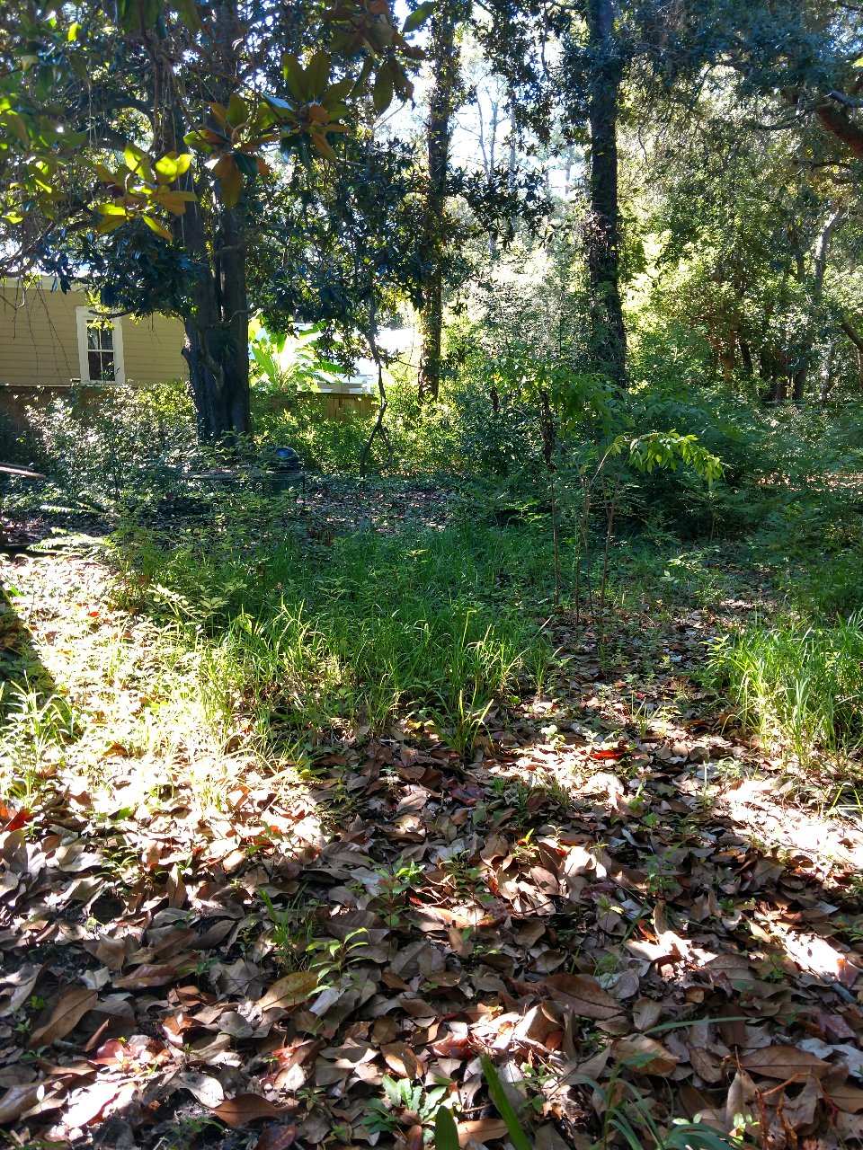 IMG_20201024_133430412_HDR.jpg