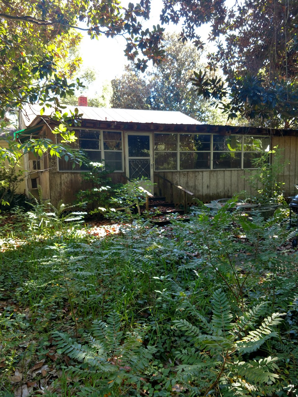 IMG_20201024_133559444_HDR.jpg