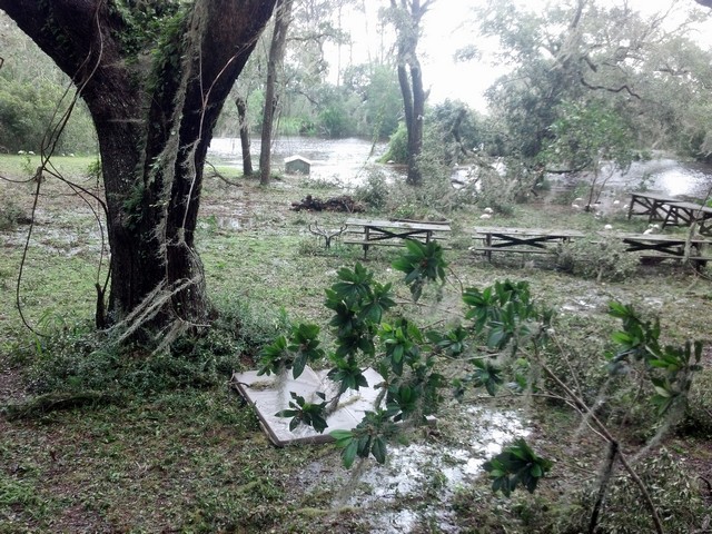 2017Irma0008.jpg