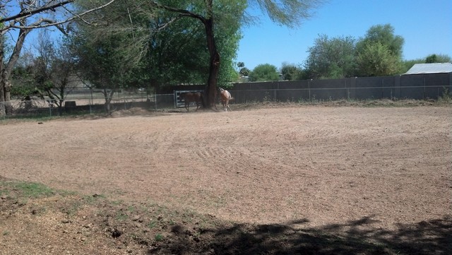 GlendaleAZ0006.jpg
