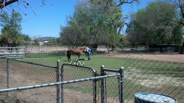 GlendaleAZ0008.jpg