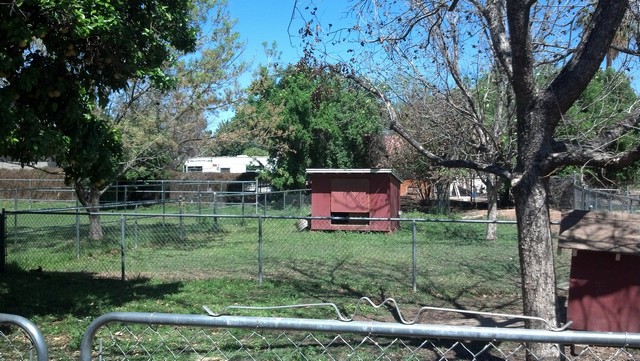GlendaleAZ0009.jpg