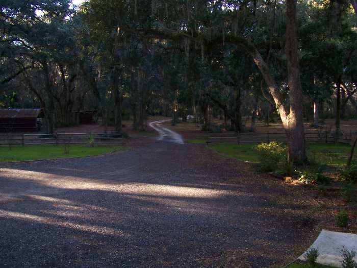 2006-01-100_driveway.jpg