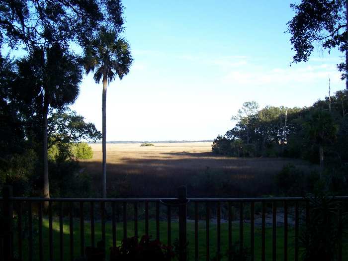 2006-01-100deckview.jpg