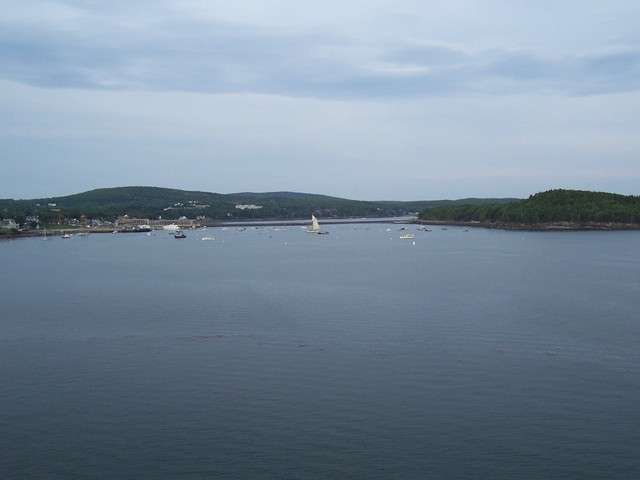 100_0485.jpg