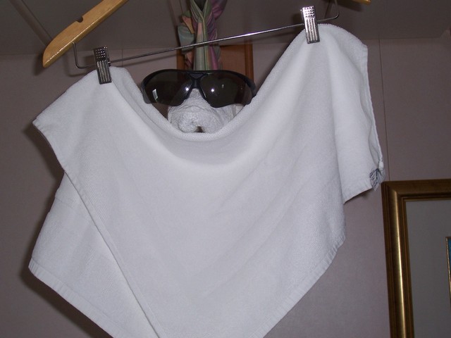 100_2050.jpg