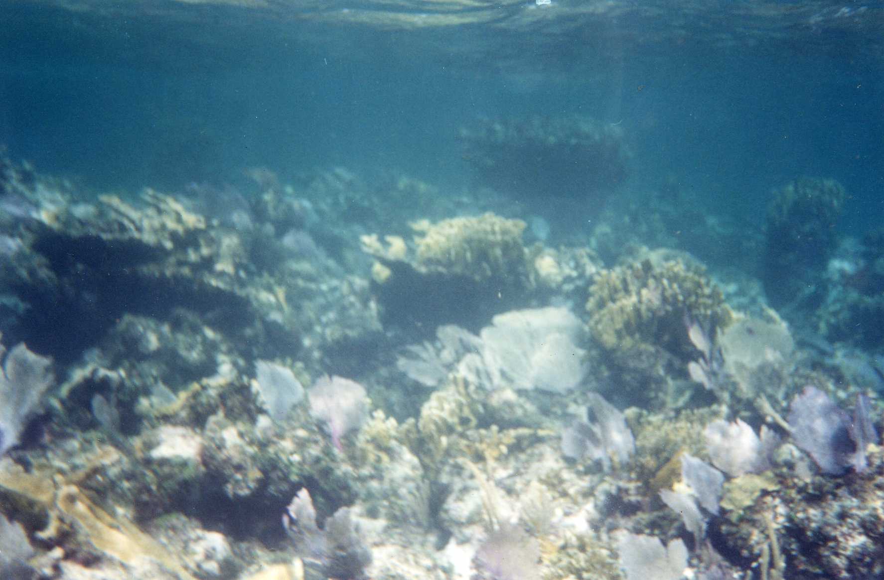 IMAGE25.jpg
