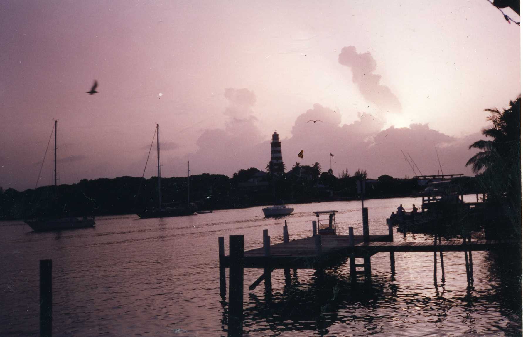 IMAGE8.jpg
