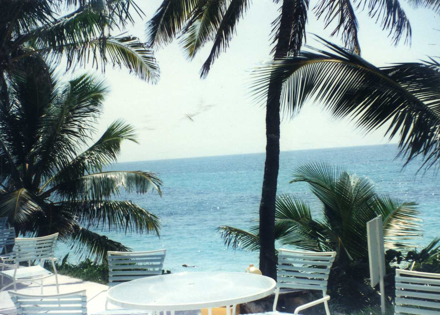 IMAGE9.jpg